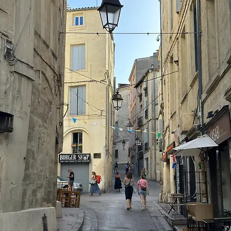 L'ecusson Vert, T2 Et Climatise *